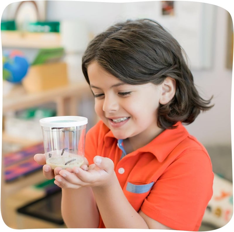 Insect Lore كوب من اليرقات الأساسية - 5 يرقات سيدة ملونة حية مع طعام - مجموعة إعادة تعبئة لحديقة الفراشات - نشاط علمي STEM للأطفال والفصول الدراسية - Image 2